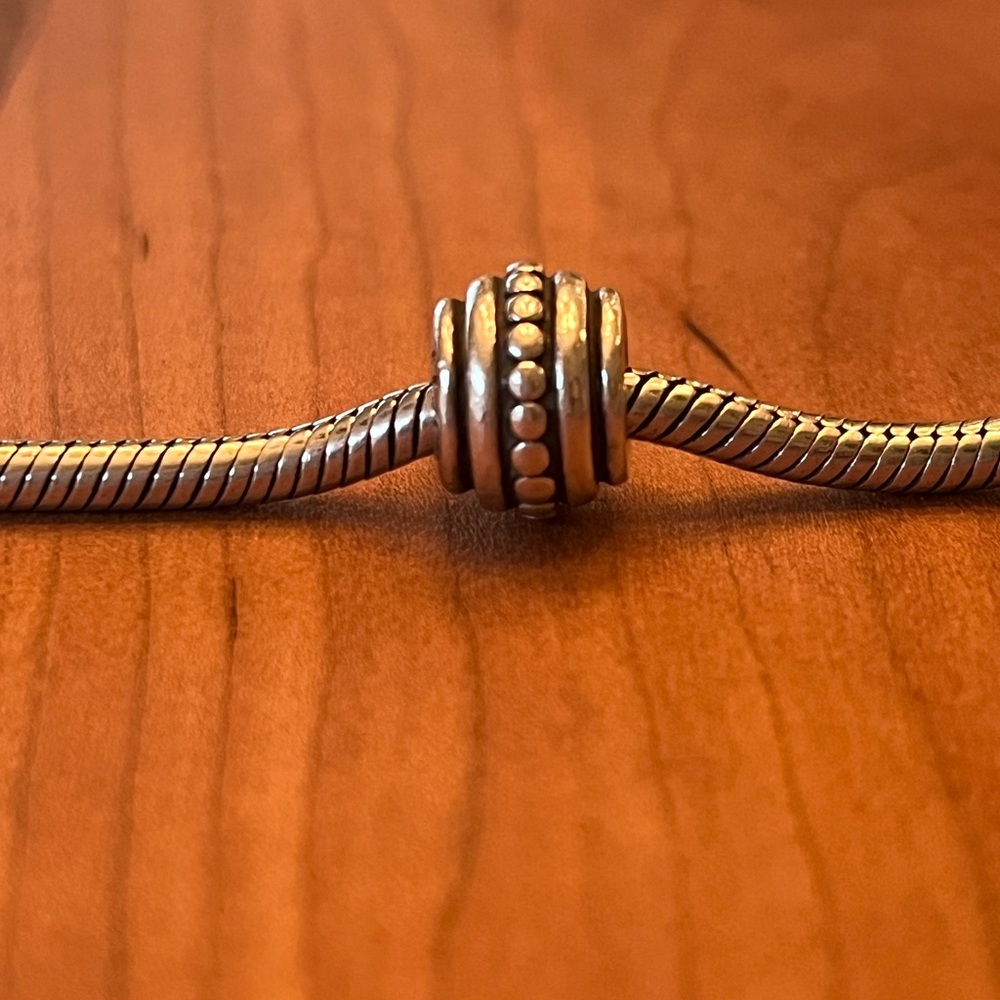 Pandora Retired Charm - image 1